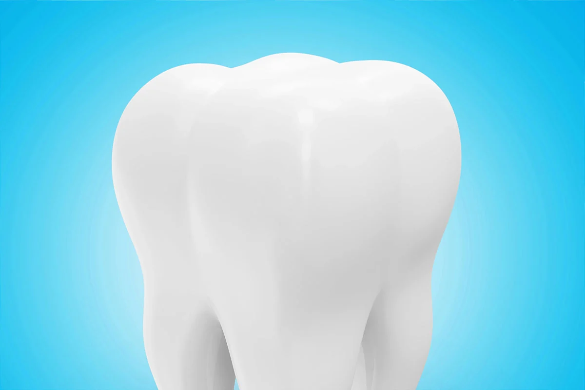 3D model of a tooth